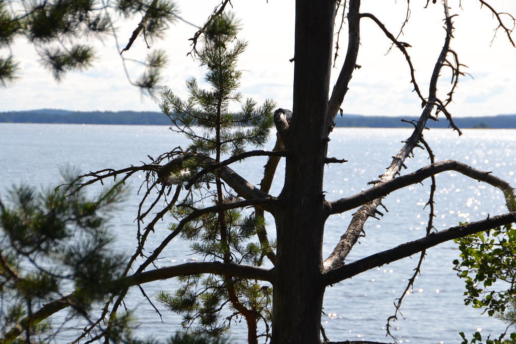 Holiday Home Tuomarniemi Kokonvaara Zewnętrze zdjęcie
