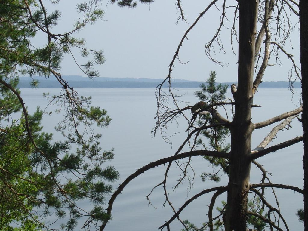 Holiday Home Tuomarniemi Kokonvaara Zewnętrze zdjęcie